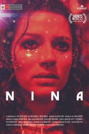 Nina (2020) poster