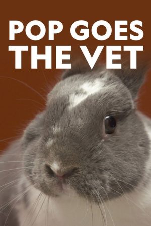 Pop Goes the Vet (2020) poster
