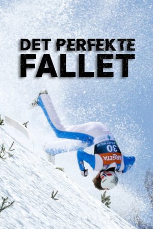 Det perfekte fallet (2022) poster