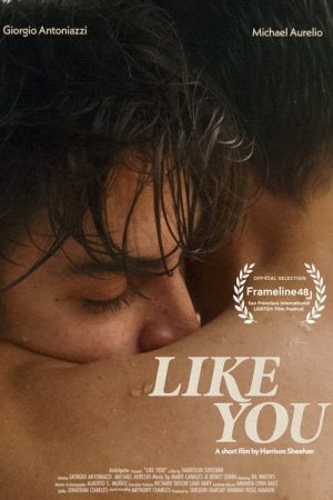 Like You (2024) poster