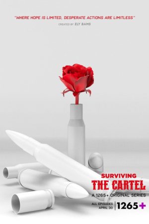 Sobreviviendo al cártel (2022) poster