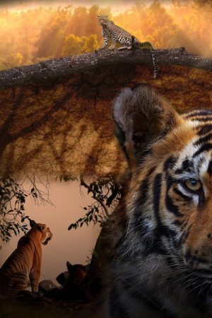 Tiger Legacy (2025) poster