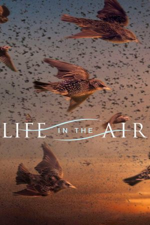 Life in the Air (2016) poster