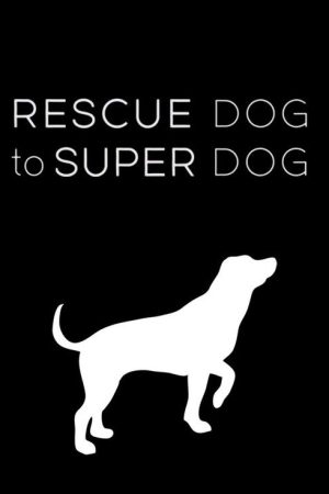 Rescue Dog to Super Dog (2016) poster