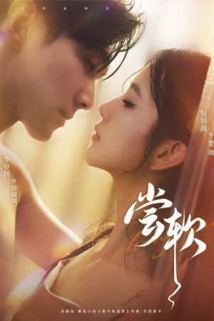 尝软 (2025) poster