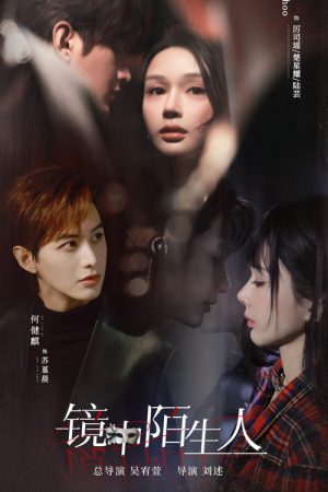 The Stranger in the Mirror (2025) poster