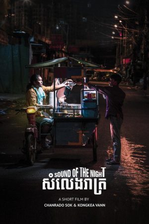 Sound of the Night (2021) poster