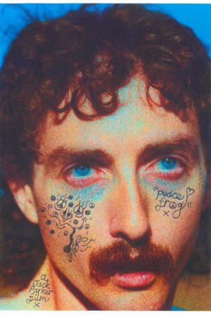 peace frog (2025) poster