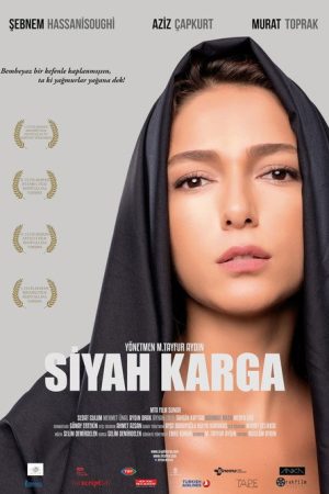 Black Crow (2016) poster