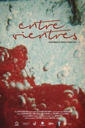Entre Vientres (2017) poster