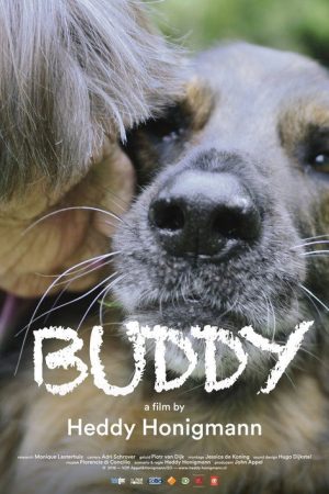 Buddy (2019) poster
