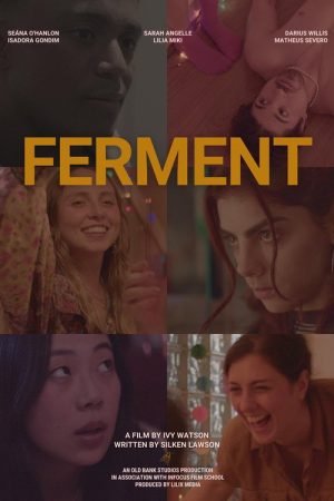 Ferment (2024) poster