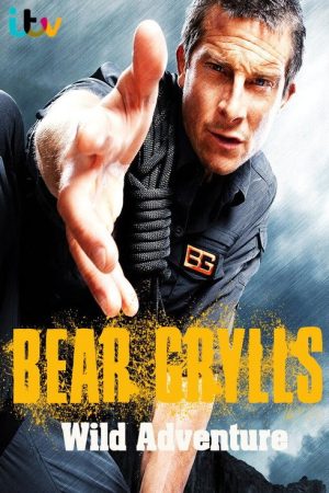 Bear Grylls Wild Adventure (2021) poster
