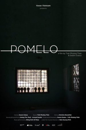Pomelo (2019) poster