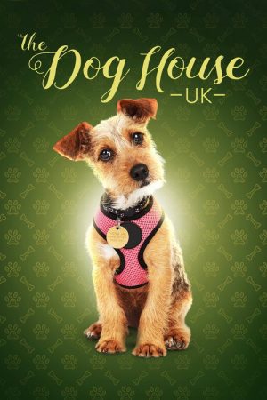 The Dog House (2019) poster