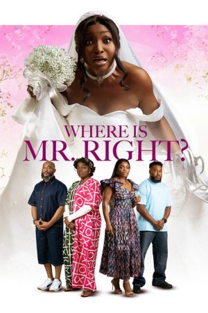 Where is Mr Right (2026) poster