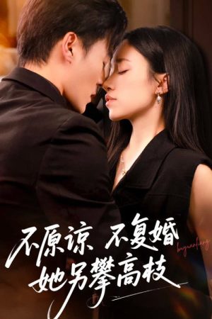 不原谅不复婚她另攀高枝 (2025) poster