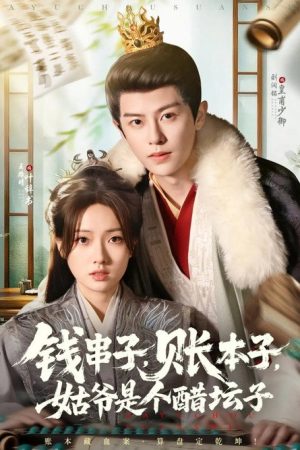 钱串子，账本子，姑爷是个醋坛子 (2025) poster