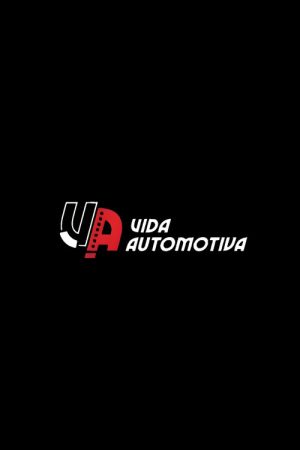 Vida Automotiva (2020) poster