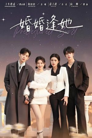 婚婚逢她 (2025) poster