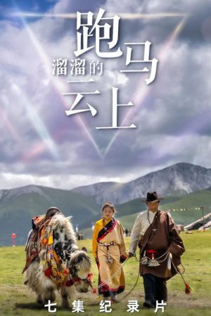 跑马溜溜的云上 (2021) poster