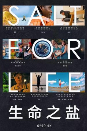 生命之盐 (2019) poster
