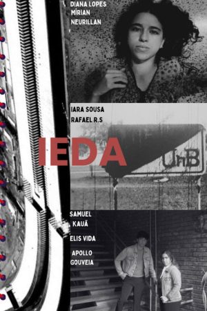 IEDA (2025) poster