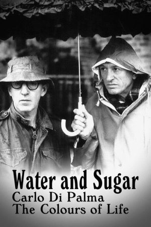 Water and Sugar poster