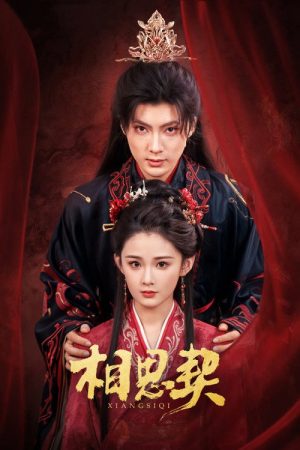 Xiang Si Qi (2026) poster