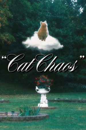 Cat Chaos (2024) poster
