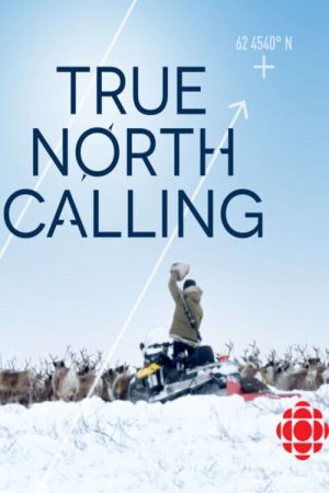 True North Calling (2017) poster