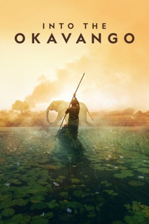 Into the Okavango (2018) poster