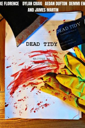 Dead Tidy (2025) poster