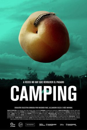 Camping (2017) poster