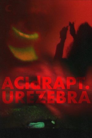 ACIdRAPTURE ZEBRA (2026) poster