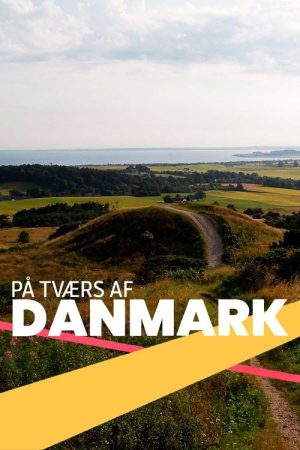 På tværs af Danmark (2020) poster