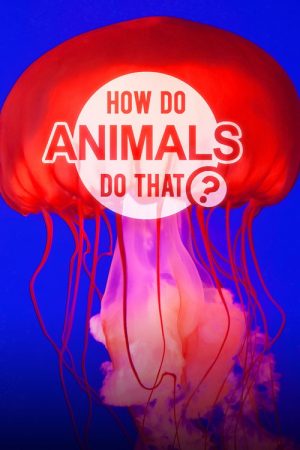 How Do Animals Do That? (2019) poster