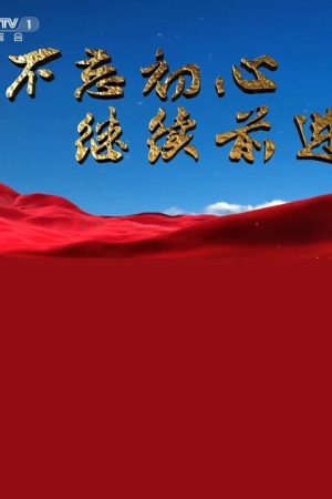 不忘初心 继续前进 (2017) poster