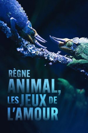 Règne animal, les jeux de l’amour (2022) poster