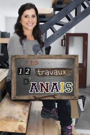 Les 12 travaux d’Anaïs (2016) poster