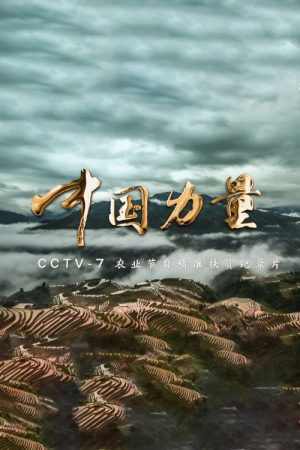 中国力量 (2017) poster