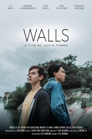 Walls (2020) poster