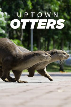 Uptown Otters (2022) poster