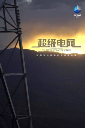 超级电网 (2021) poster