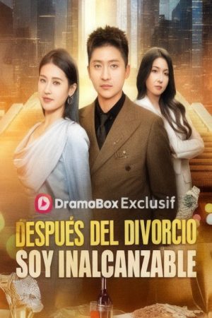 After The Divorce Im Unreachable (2026) poster