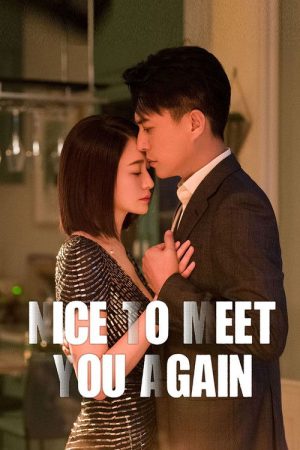 Nice to Meet You Again (2022) poster