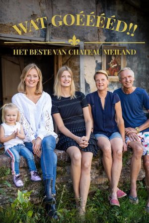 Wat Goééééd!! Het Beste van Chateau Meiland (2023) poster