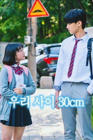 우리 사이 30cm (2020) poster