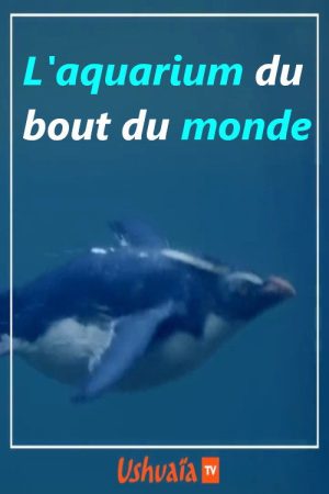 L’aquarium du bout du monde (2017) poster