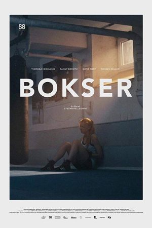Boxer (2017) poster